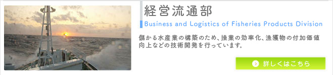 ocʕ