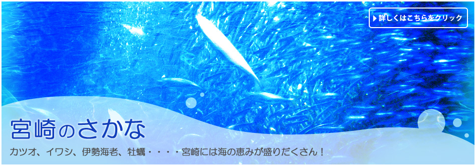 宮崎県水産試験場 日向灘における水産業の研究 指導を目的として設置された宮崎県立の研究所です